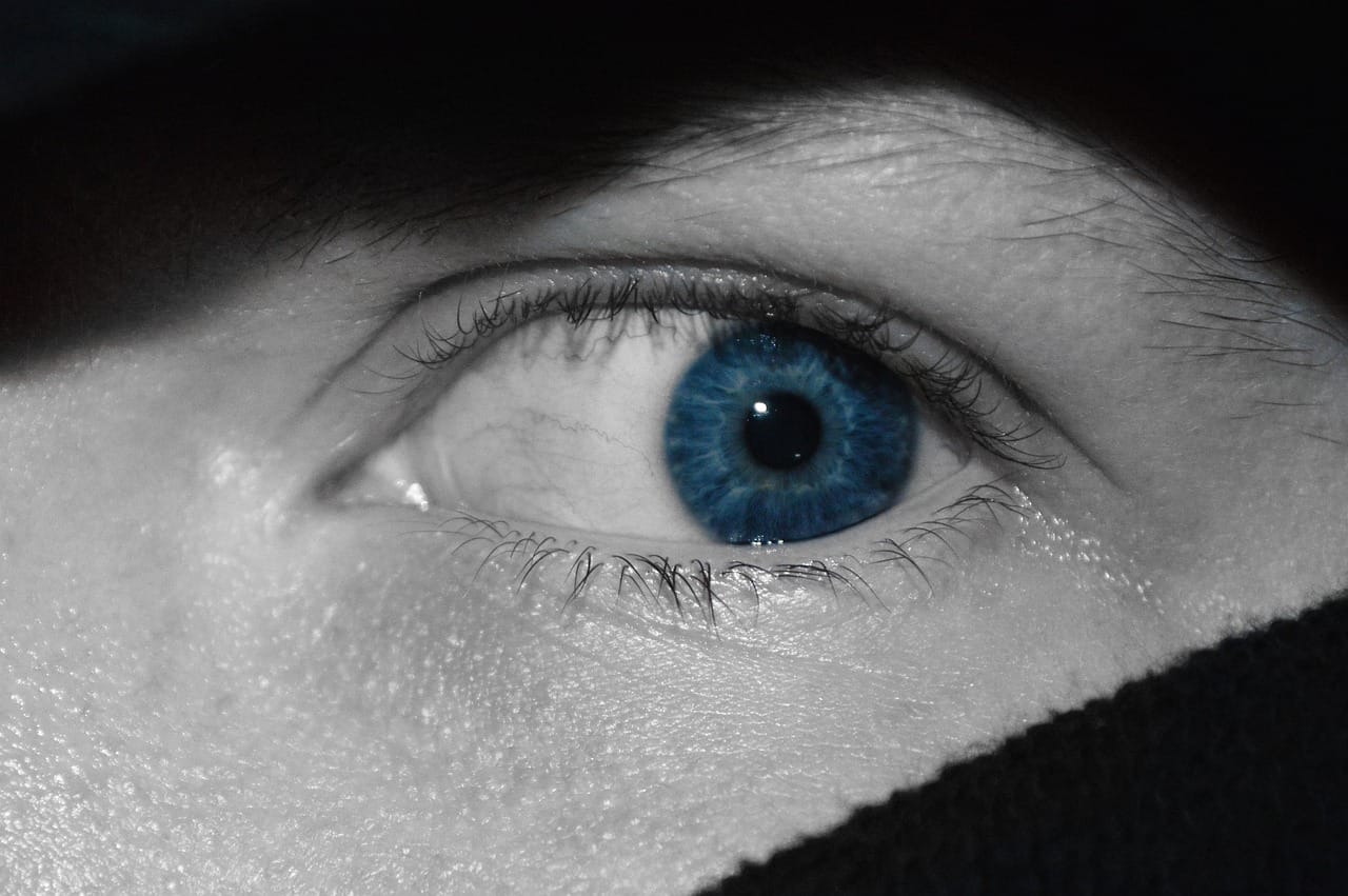 close-up, eye, person